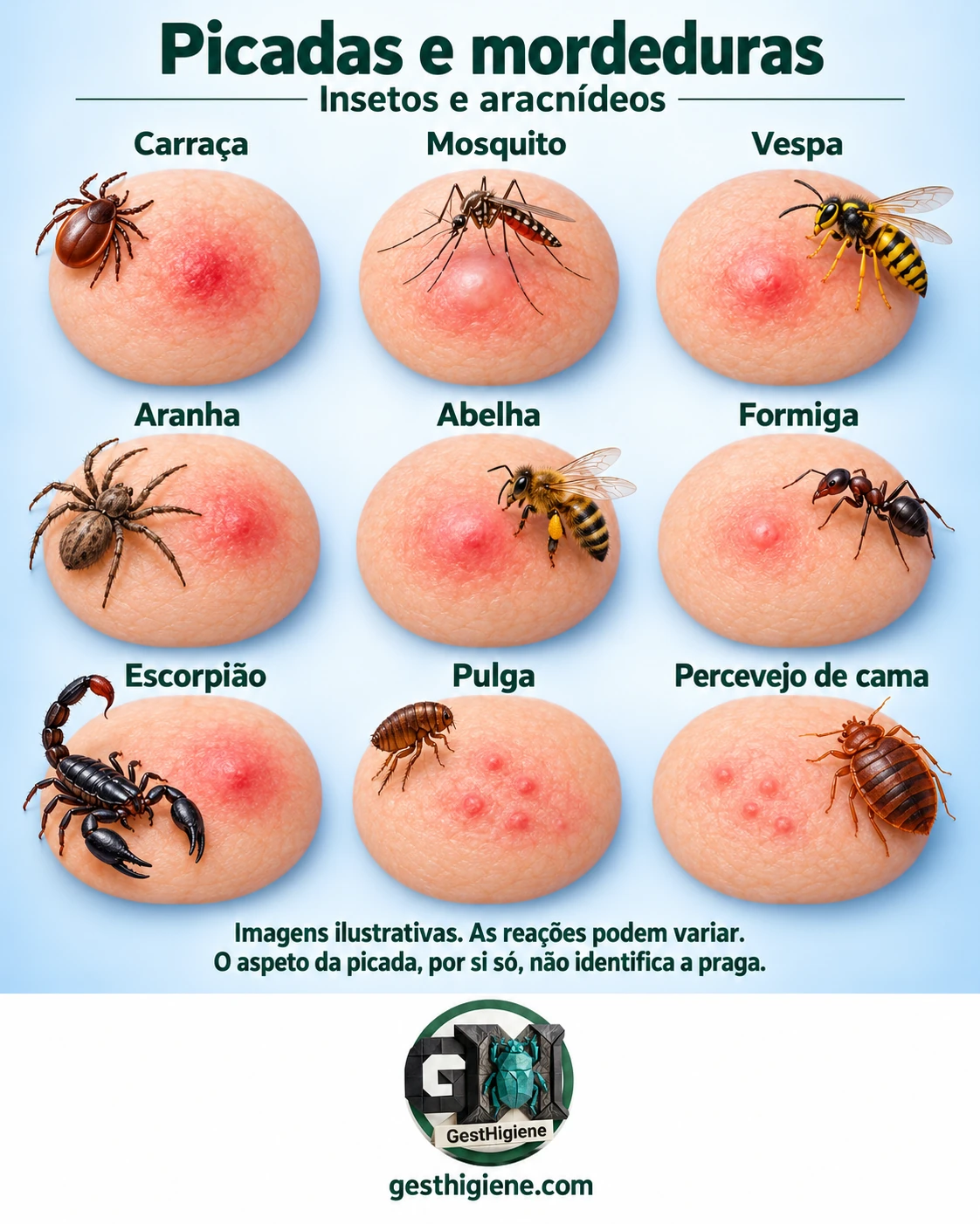 GestHigiene illustrated guide with examples of insect and arachnid bites and stings.
